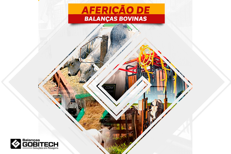 Aferição de balanças bovinas