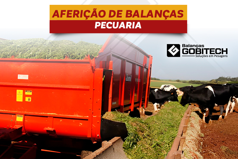 Aferição de balanças Pecuária